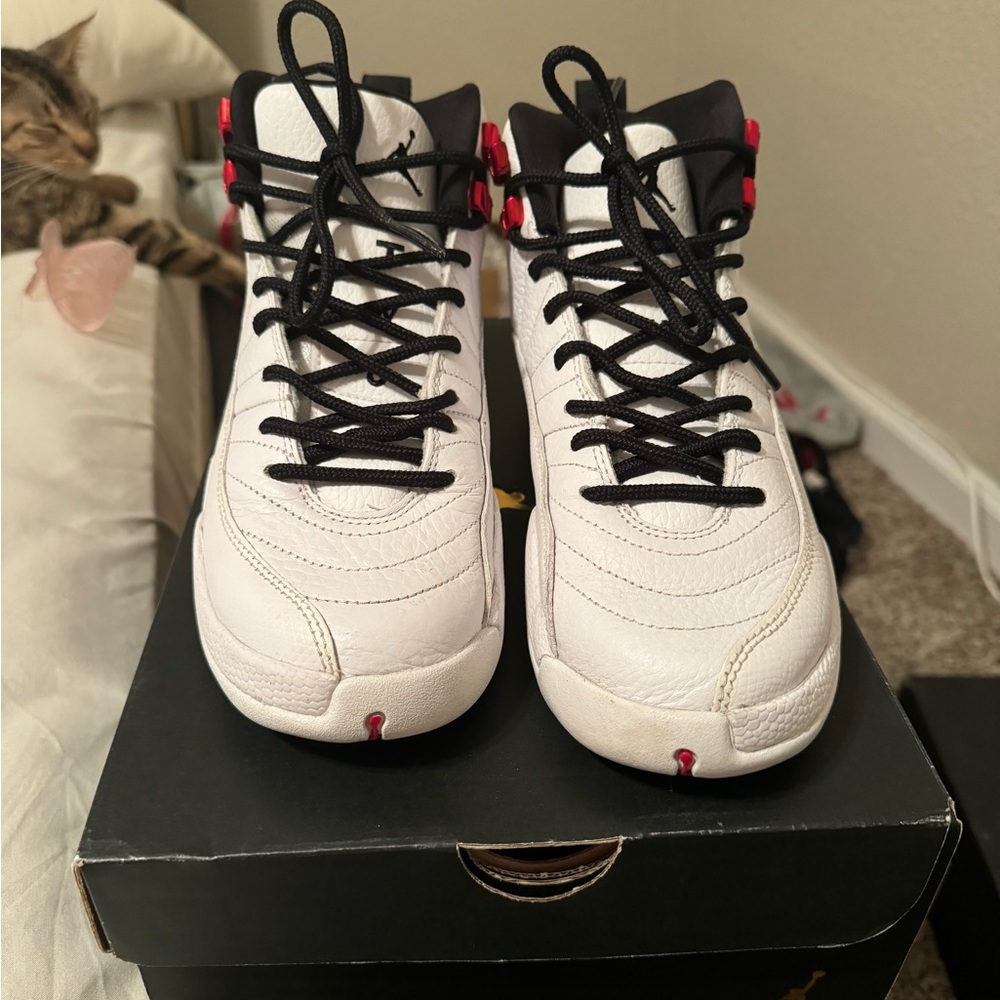Jordan 12 twist
